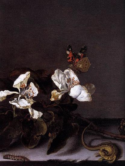 Balthasar van der Ast Still-Life with Apple Blossoms